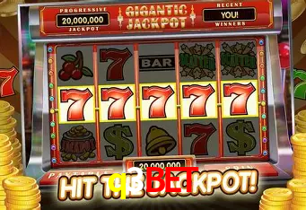 A Experiência Imersiva dos Cassinos Ao Vivo no q3bet